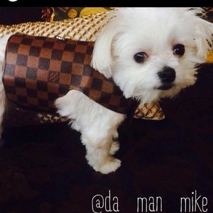 Made from a Louis Vuitton purse adorable vest custom made. Adjustable Velcro